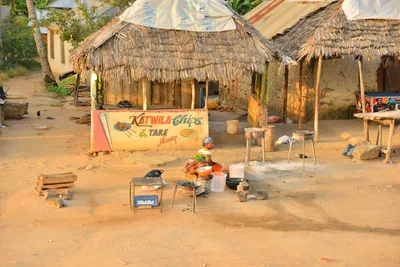 DSC_4312 (Large).JPG